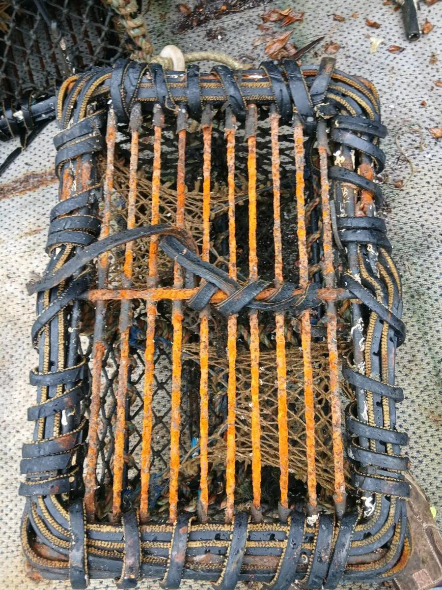 Lobster pots - Image 2