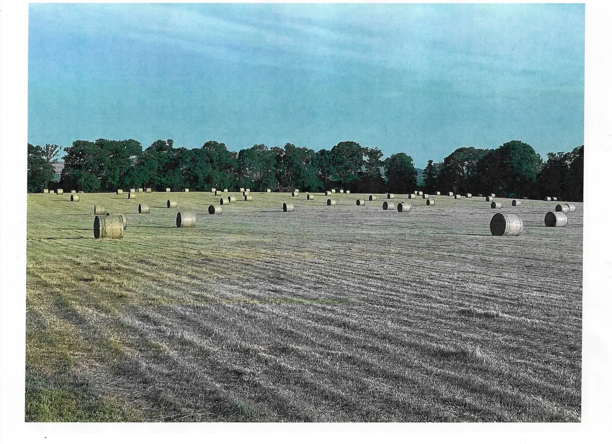 HAY FOR SALE - ASHFORD WICKLOW