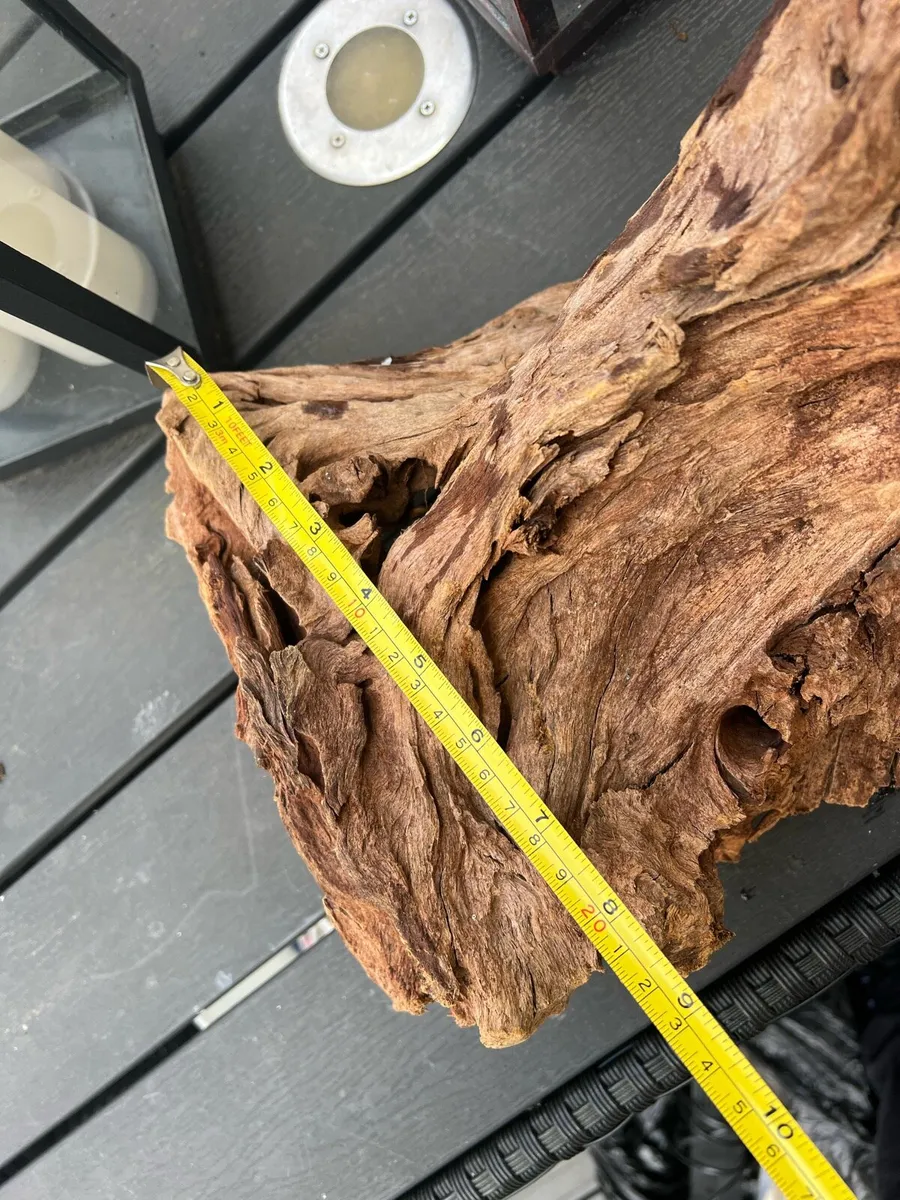 Wood for fish tank - Image 2