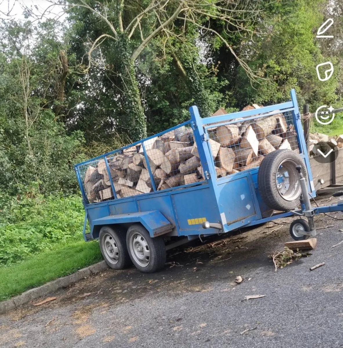 Firewood - Image 2