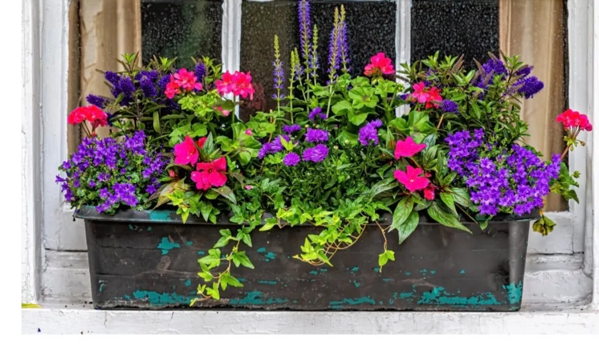 Window Flower Box Holders - Image 2