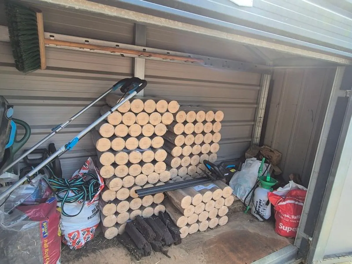 Adman Steel Shed - Image 3