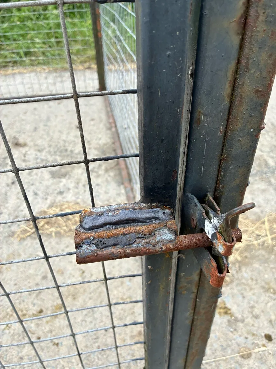 Dog Pen - Image 4
