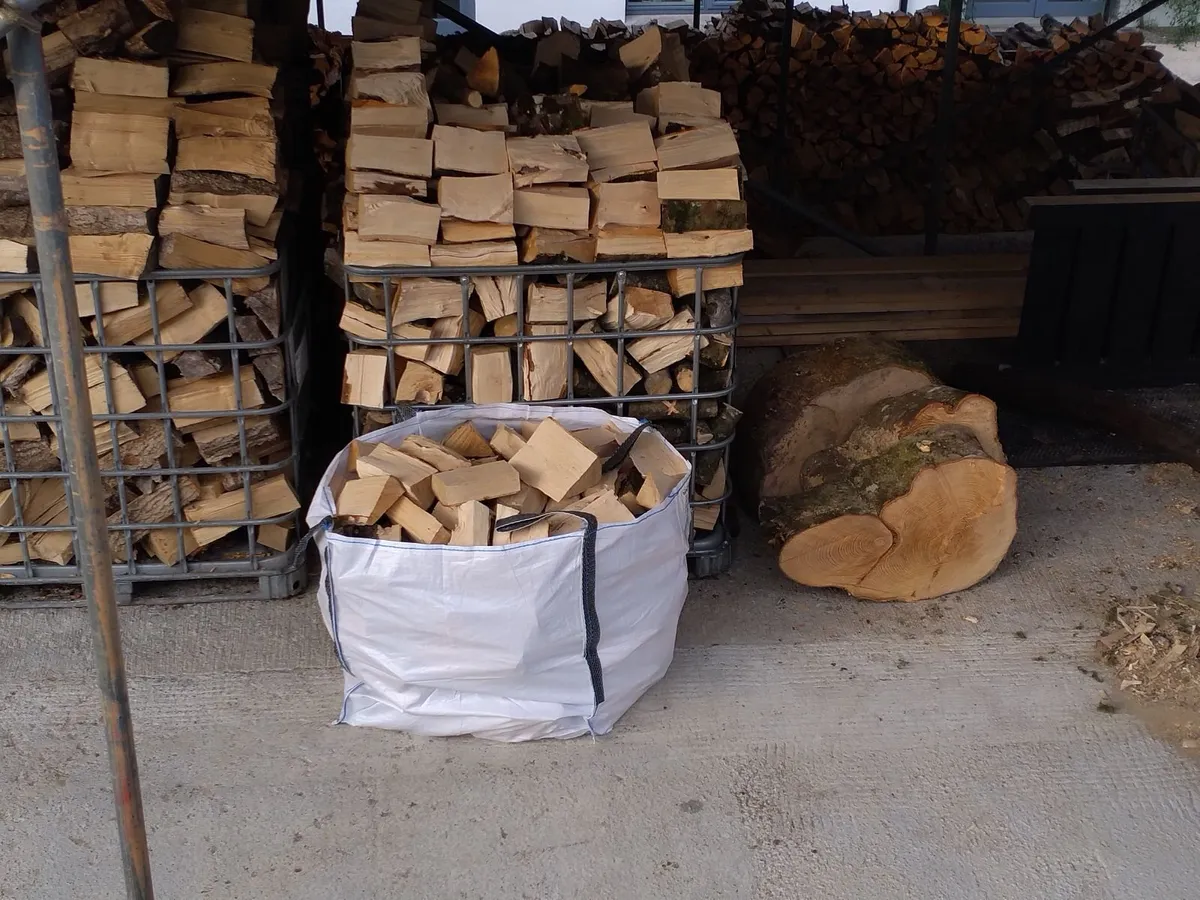 ash firewood - Image 2