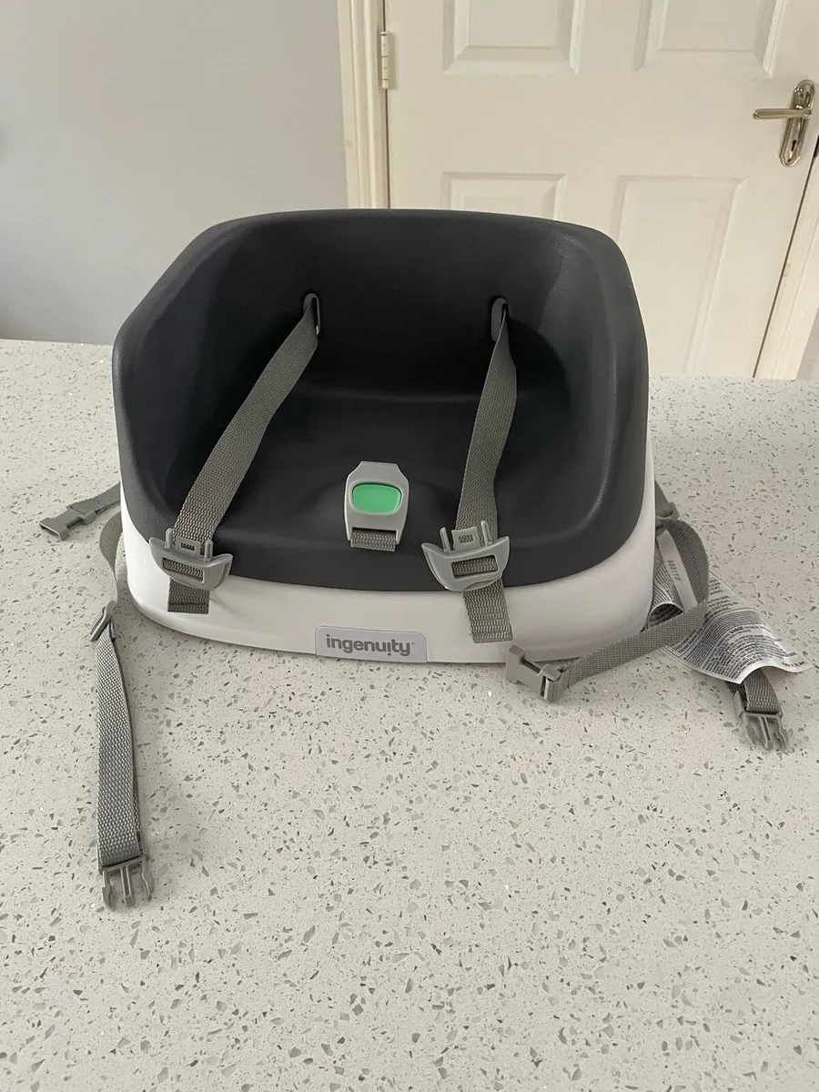 Ingenuity Booster seat - Image 1