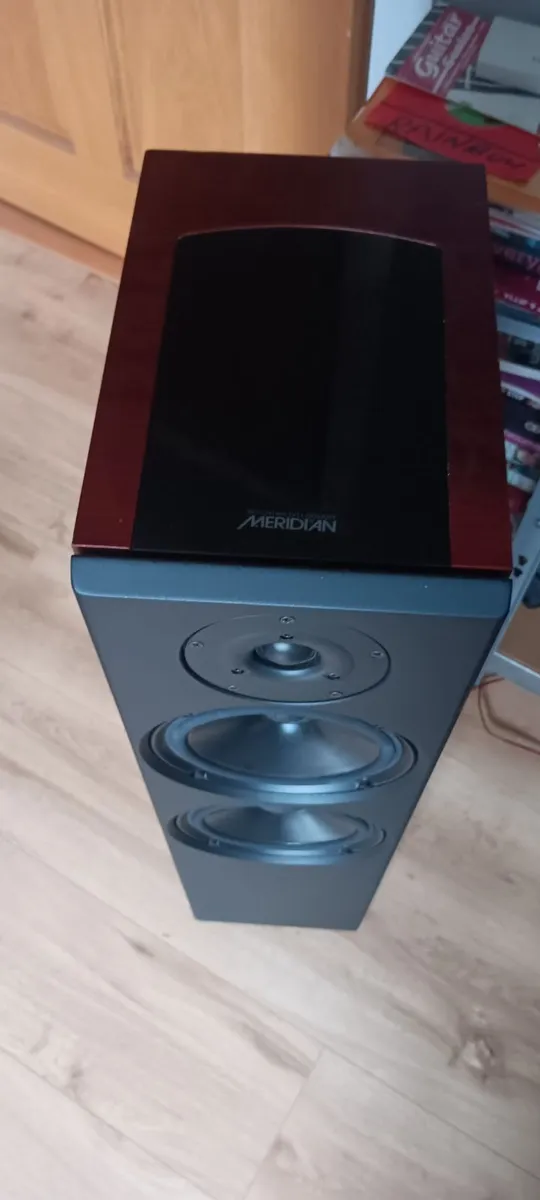 .Meridian A500 speaker