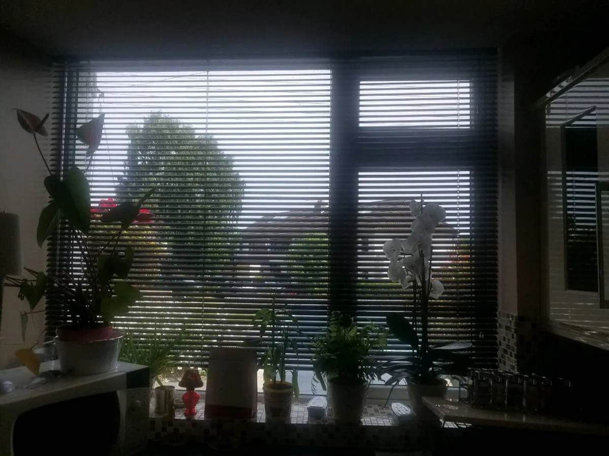 Venitian blinds - Image 1