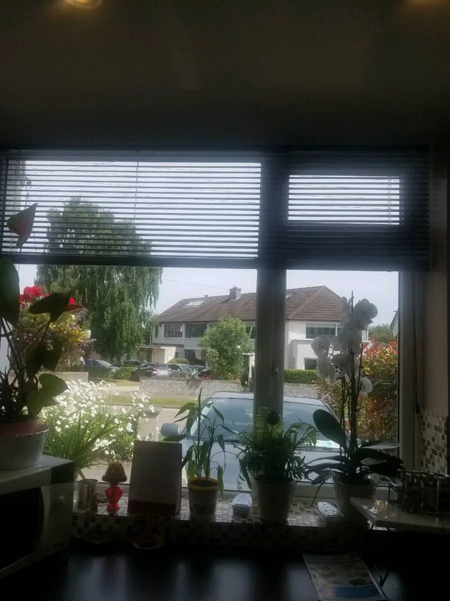 Venitian blinds - Image 3