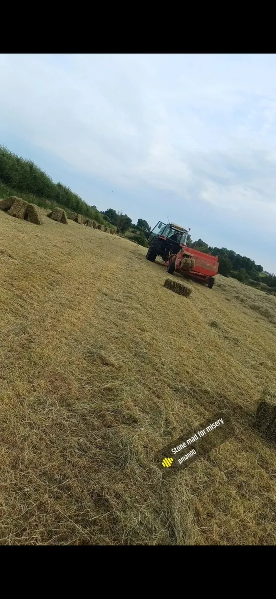 Square bales of hay - Image 3