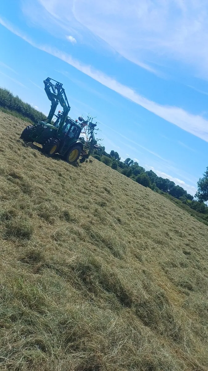 Square bales of hay - Image 4