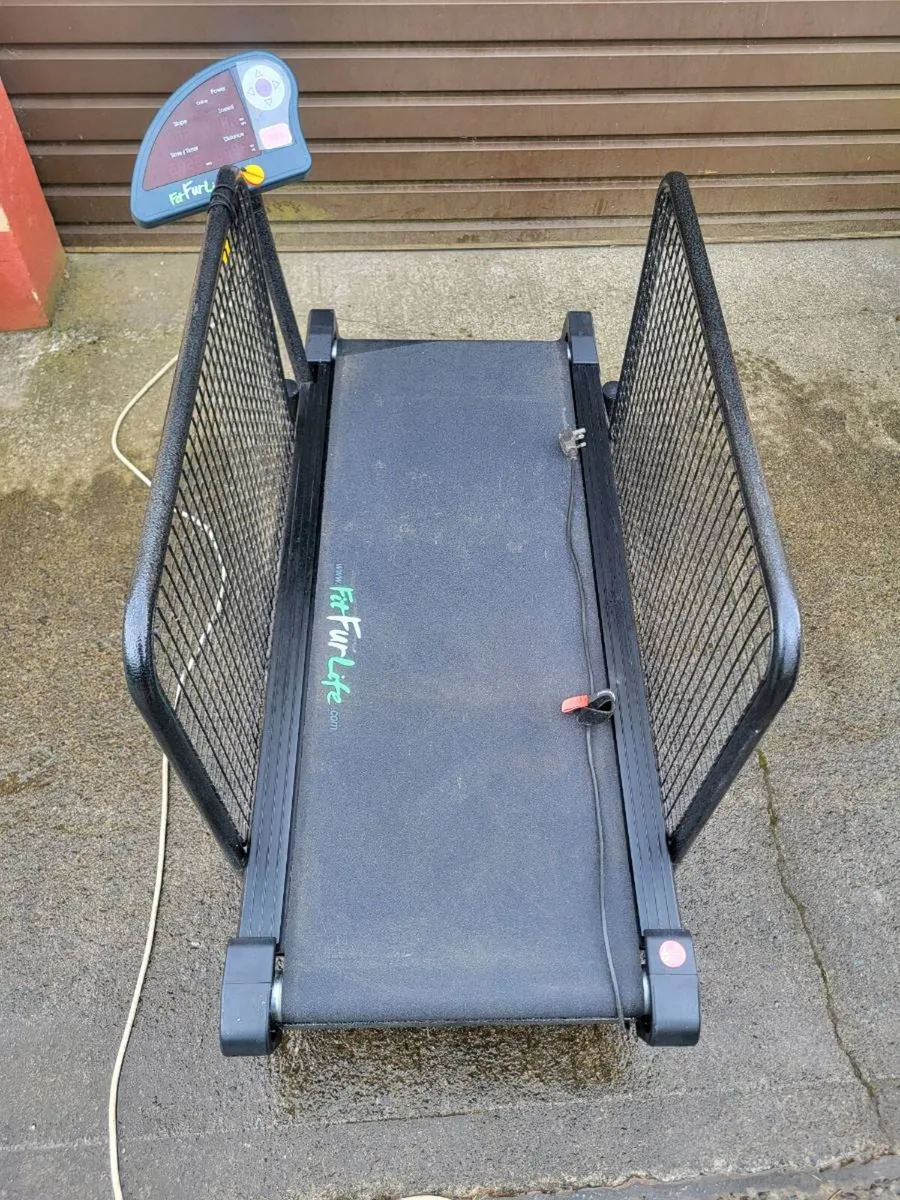 Fitfur life dog treadmill - Image 4