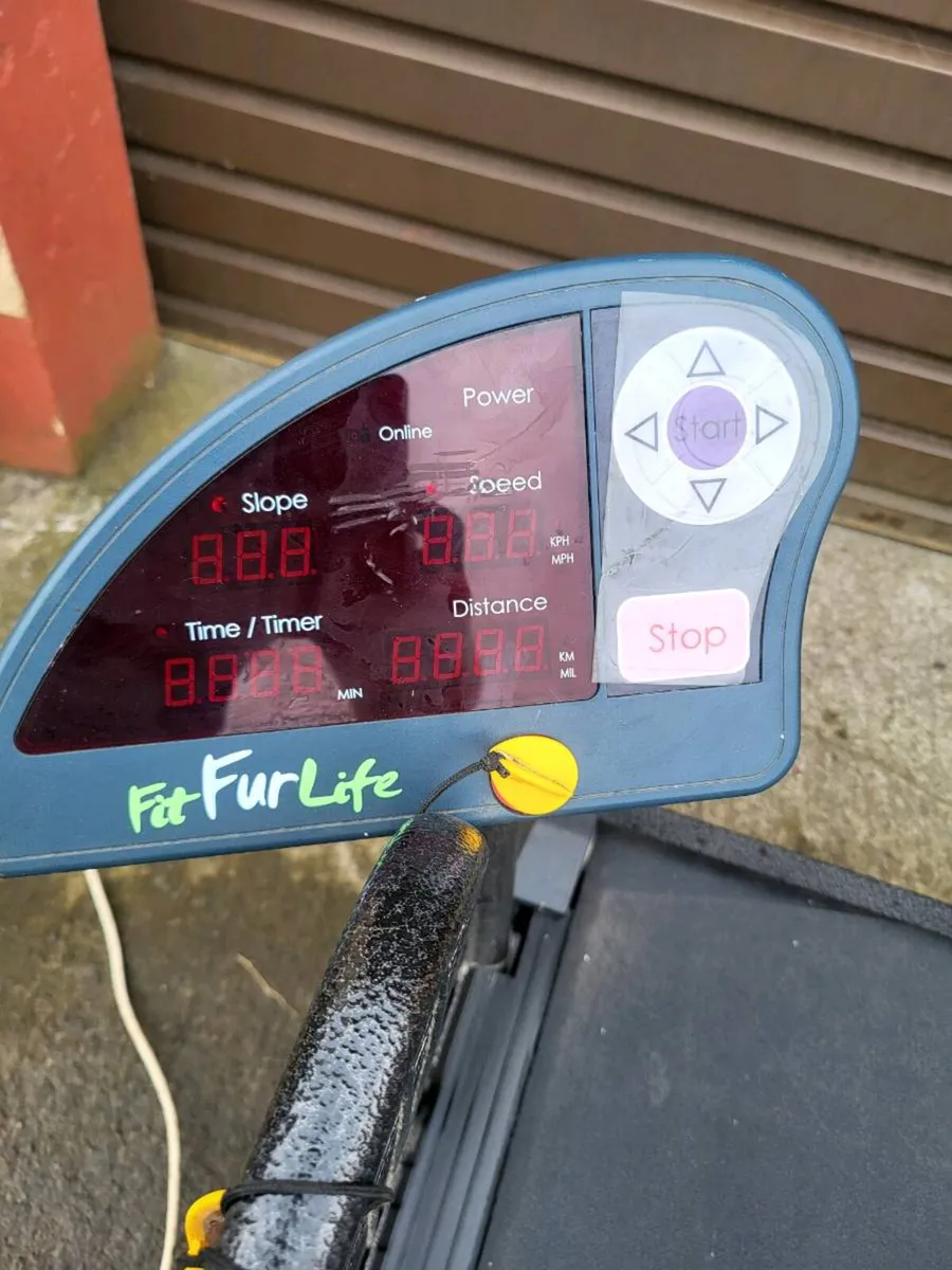 Fitfur life dog treadmill - Image 3