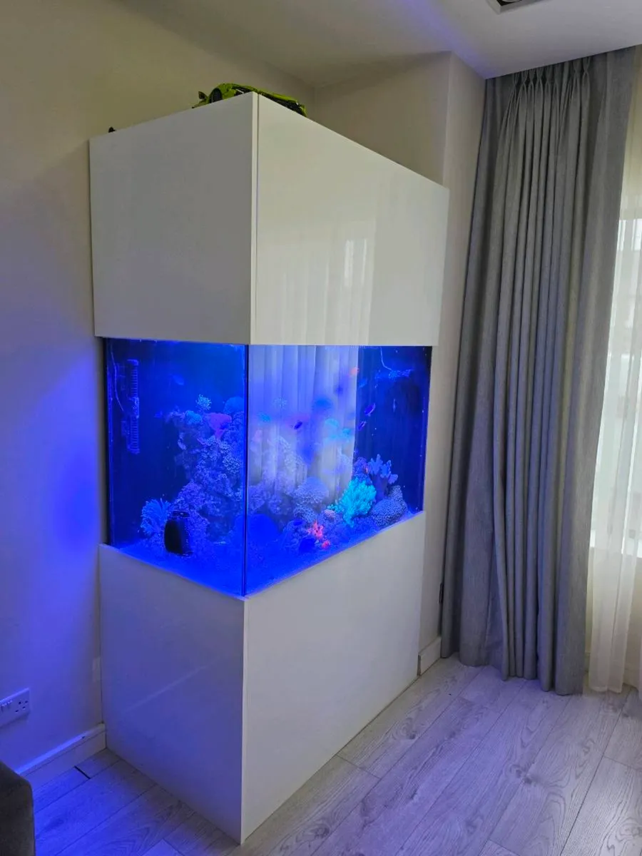 Aquarium fish tank marine saltwater - Image 2