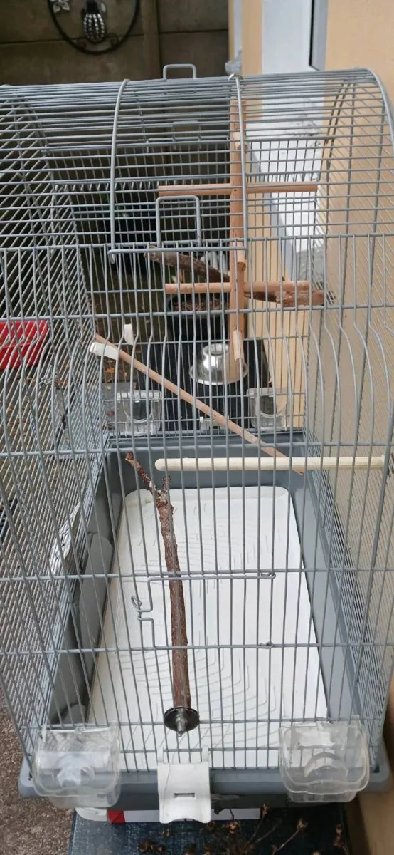 Bird cages - Image 3