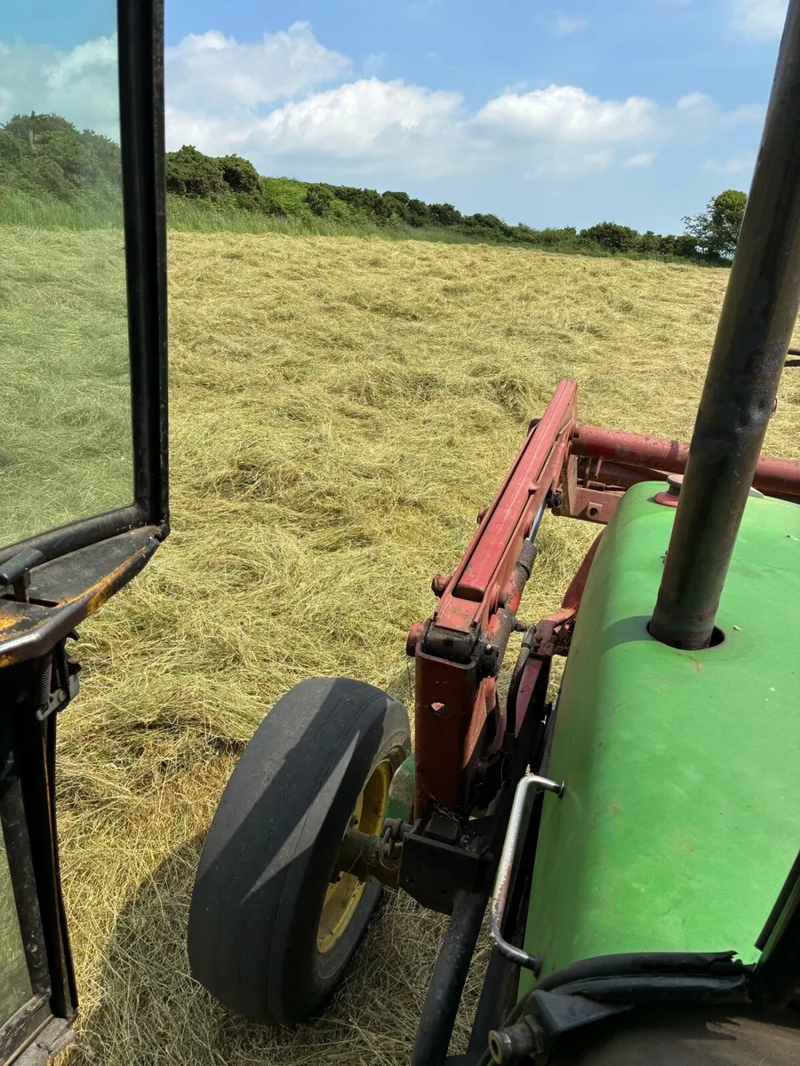 Hay seed hay - Image 1