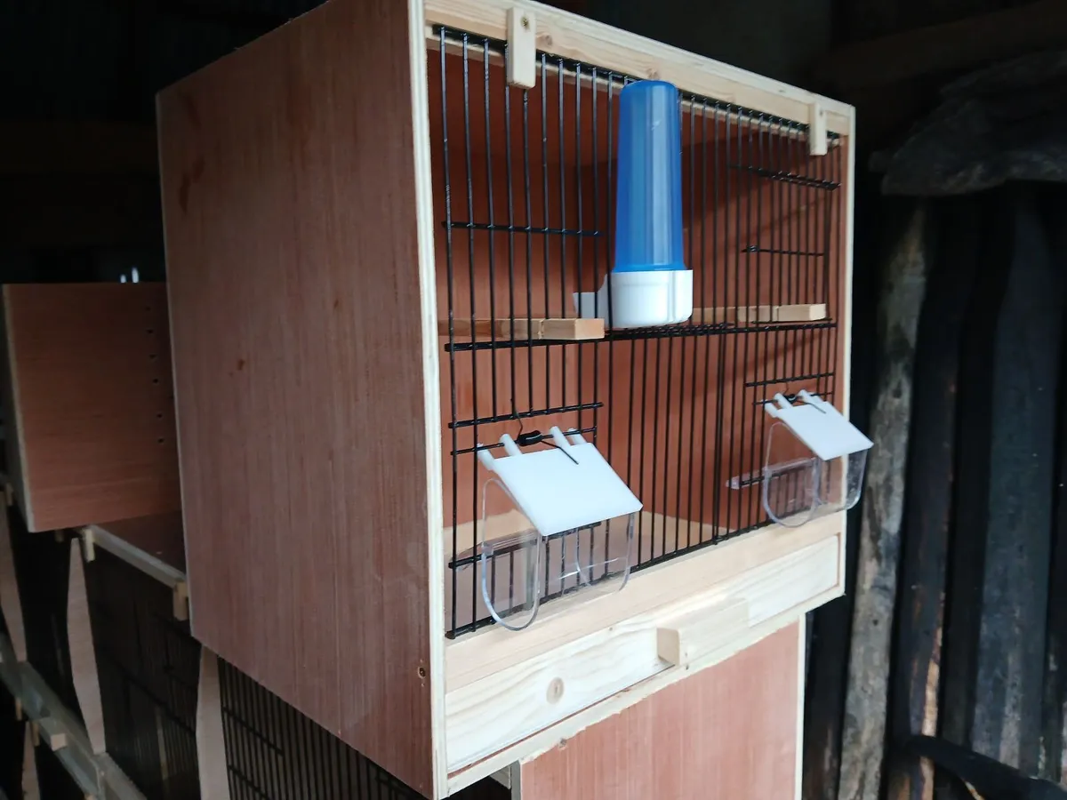 New Cages made to order - Image 1
