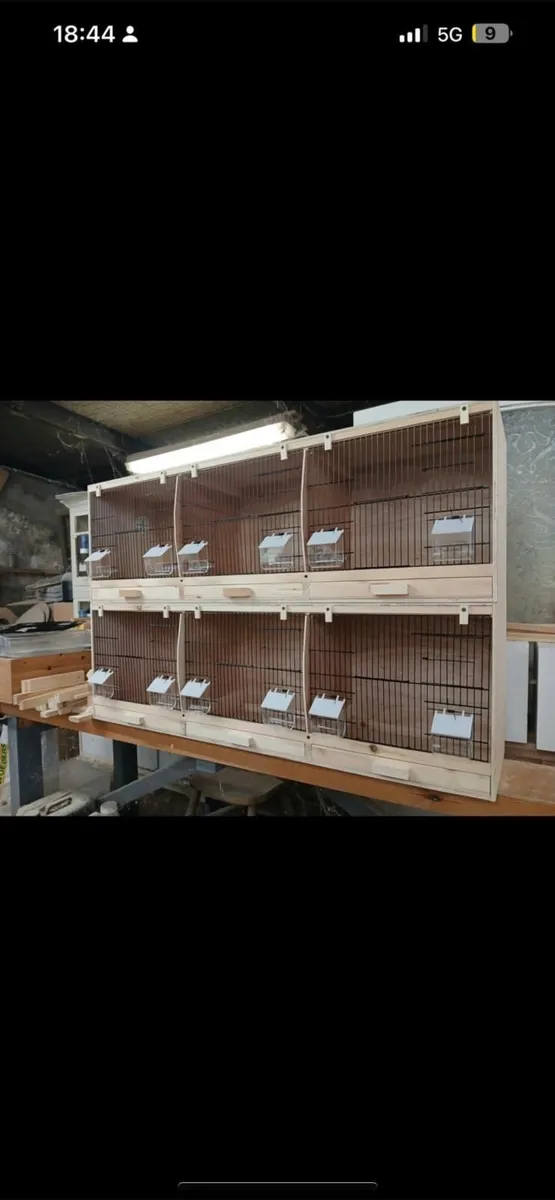 New Cages made to order - Image 3