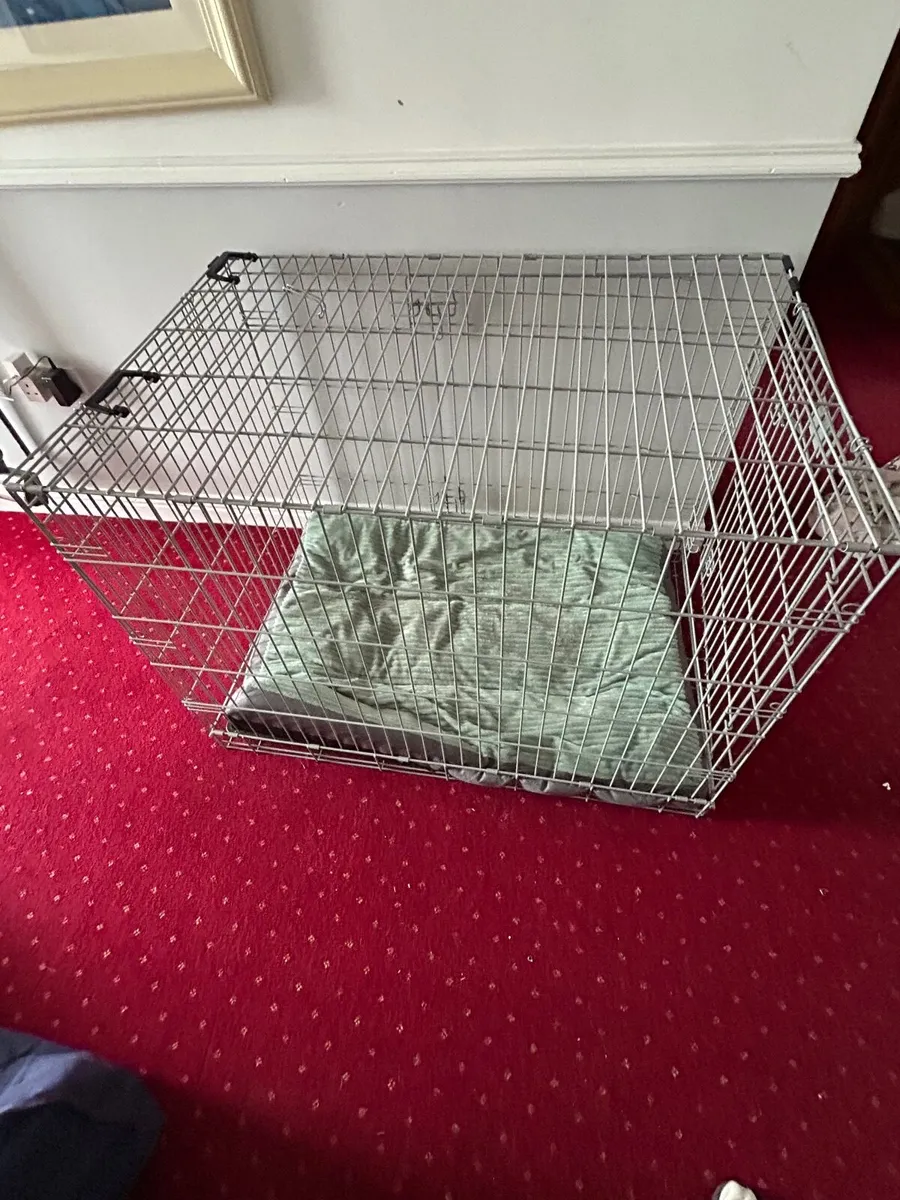 Large dog crate - Image 1