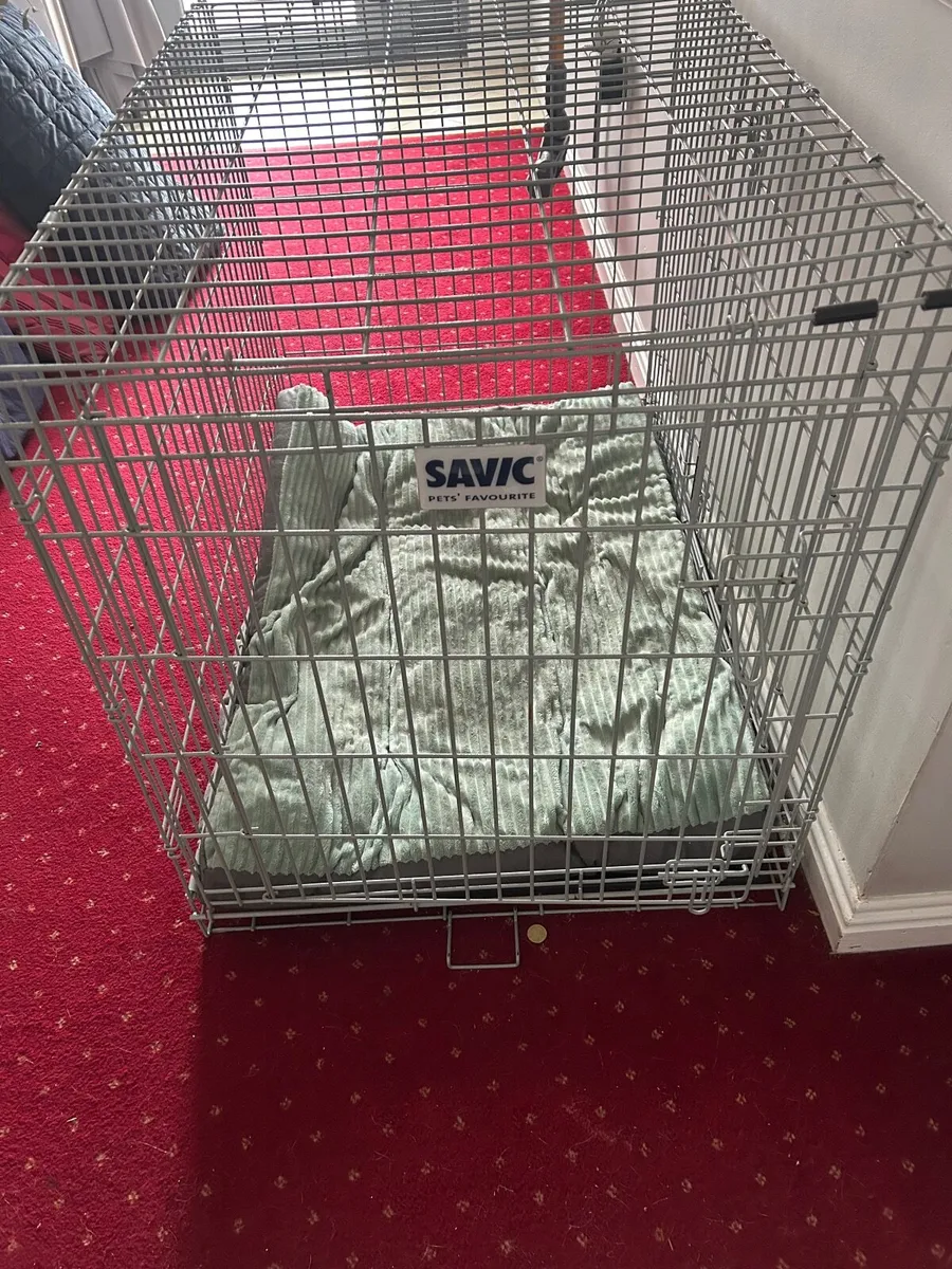 Large dog crate - Image 2