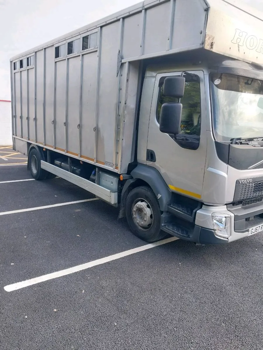 VOLVO FL 2018 HORSE LORRY FOR SALE - Image 2