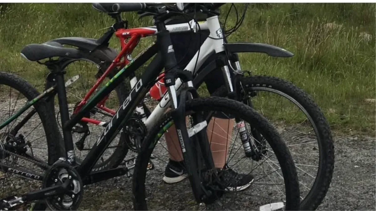 Bike - Image 3