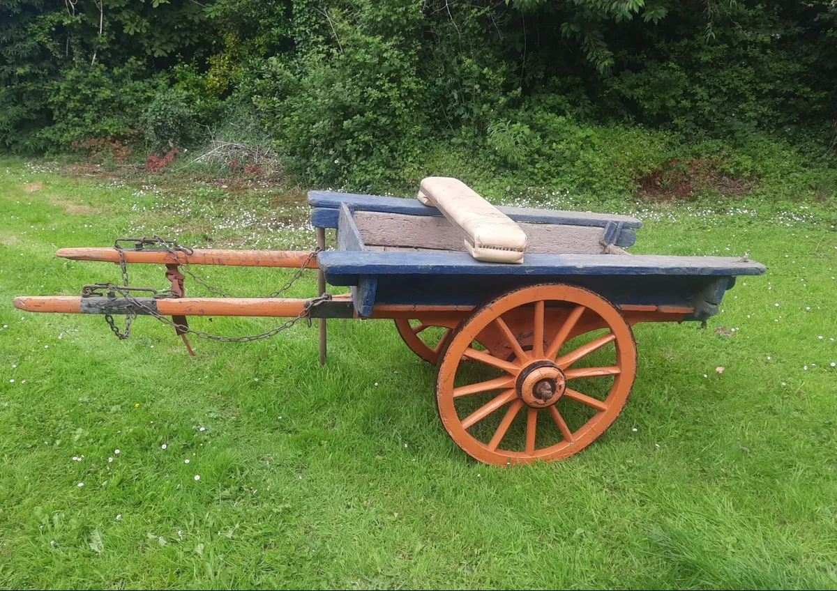 Donkey cart and Harness - Image 1