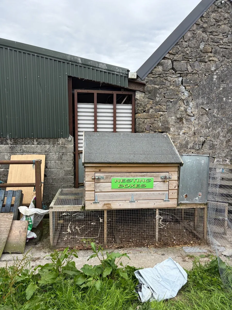 Chicken coop and laying hens - Image 1