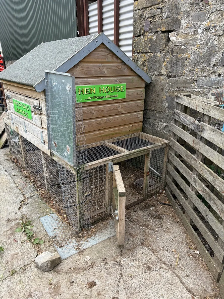 Chicken coop and laying hens - Image 2