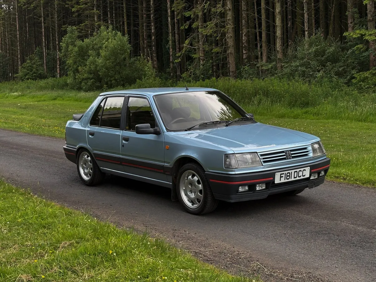 Peugeot 309 GTI 16v - Image 1