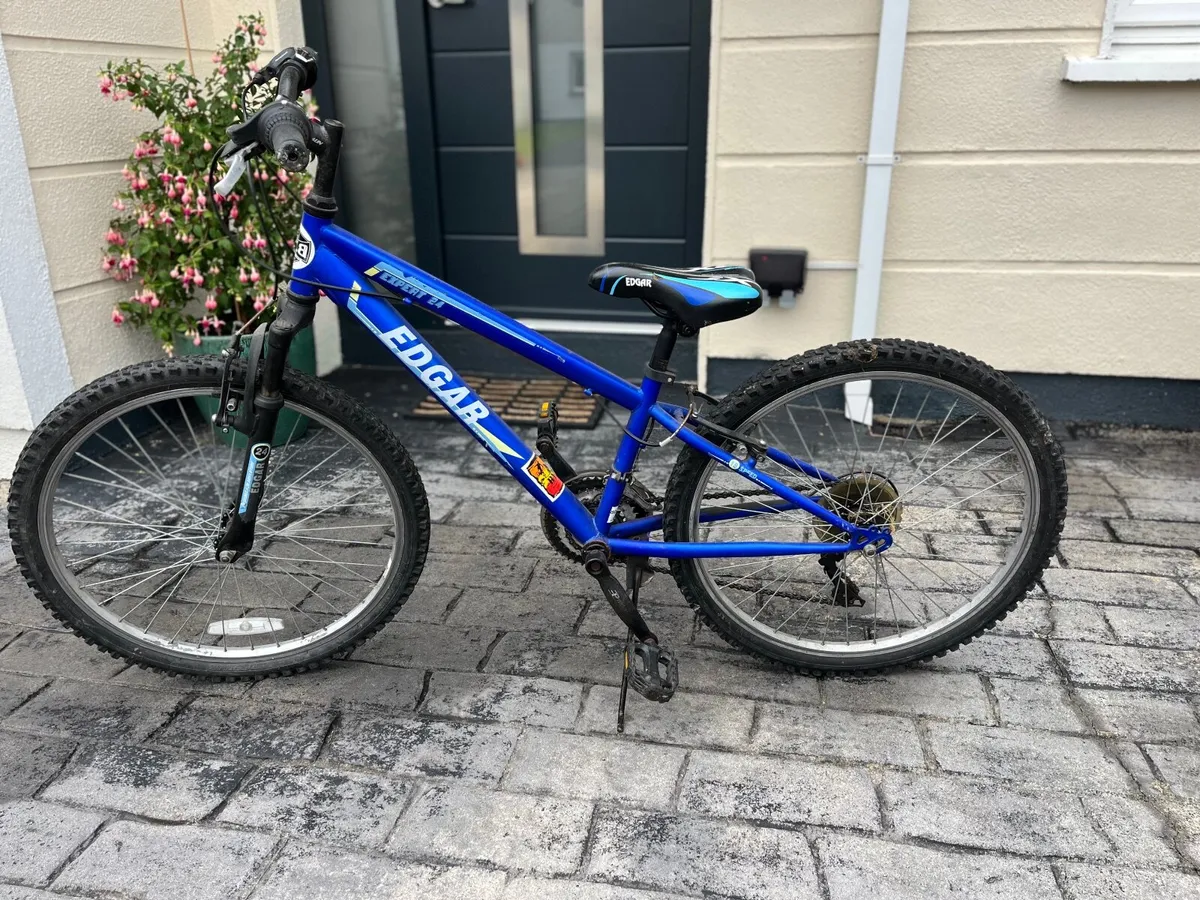 Bicycle 24’ - Image 4