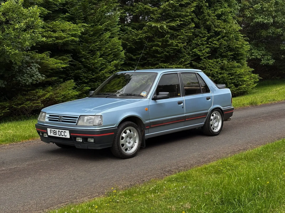 Peugeot 309 GTI 16v - Image 3