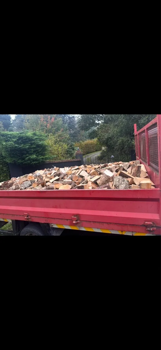 Seasoned Hardwood Logs - Image 3