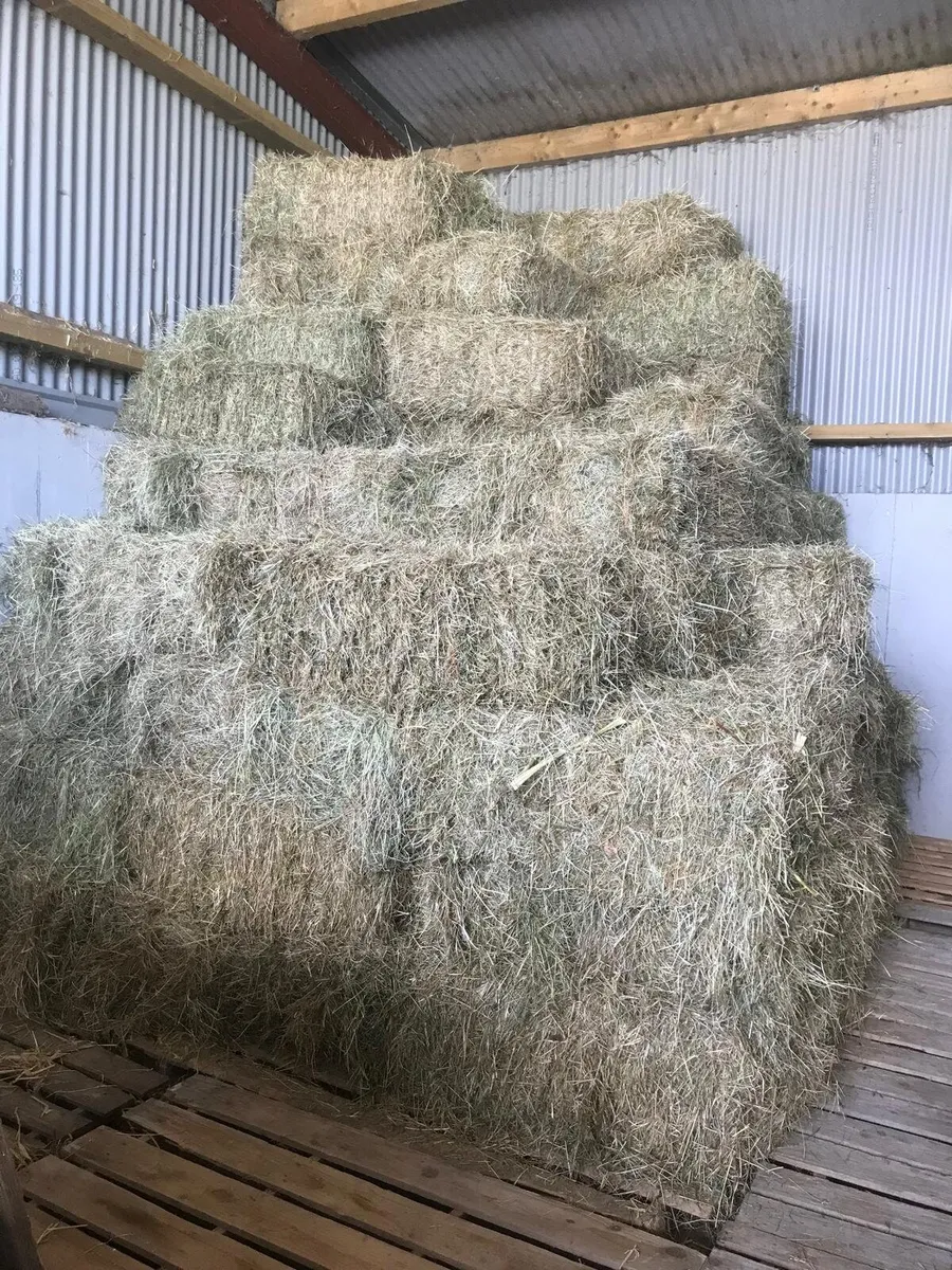 Small square and round bales of hay - Image 1
