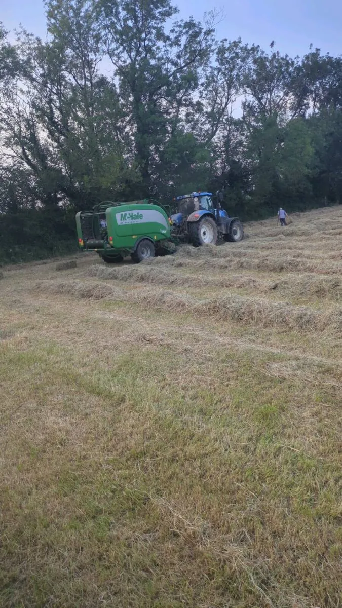 Small square and round bales of hay - Image 3
