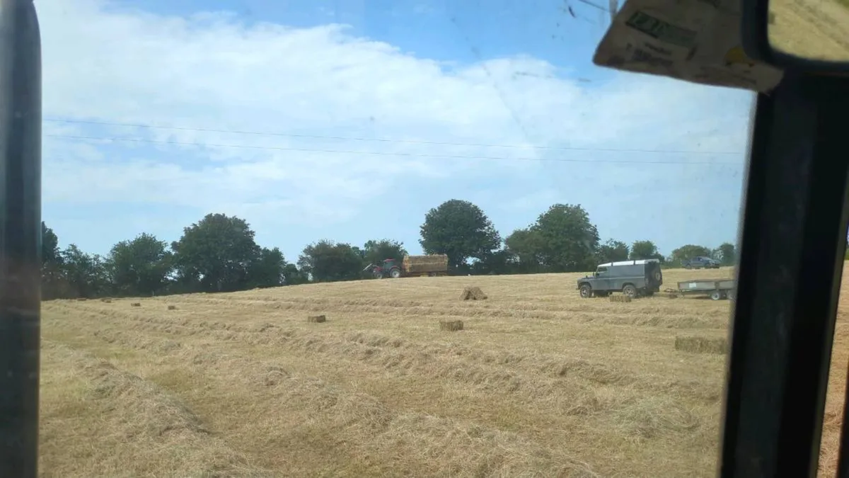 Small square and round bales of hay - Image 4