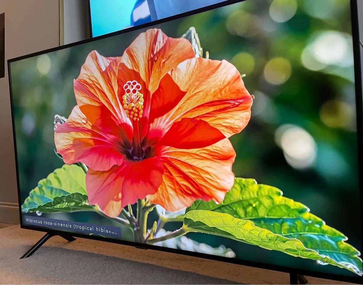 55” SAMSUNG 4k ULTRA HD SMART TV - Image 3