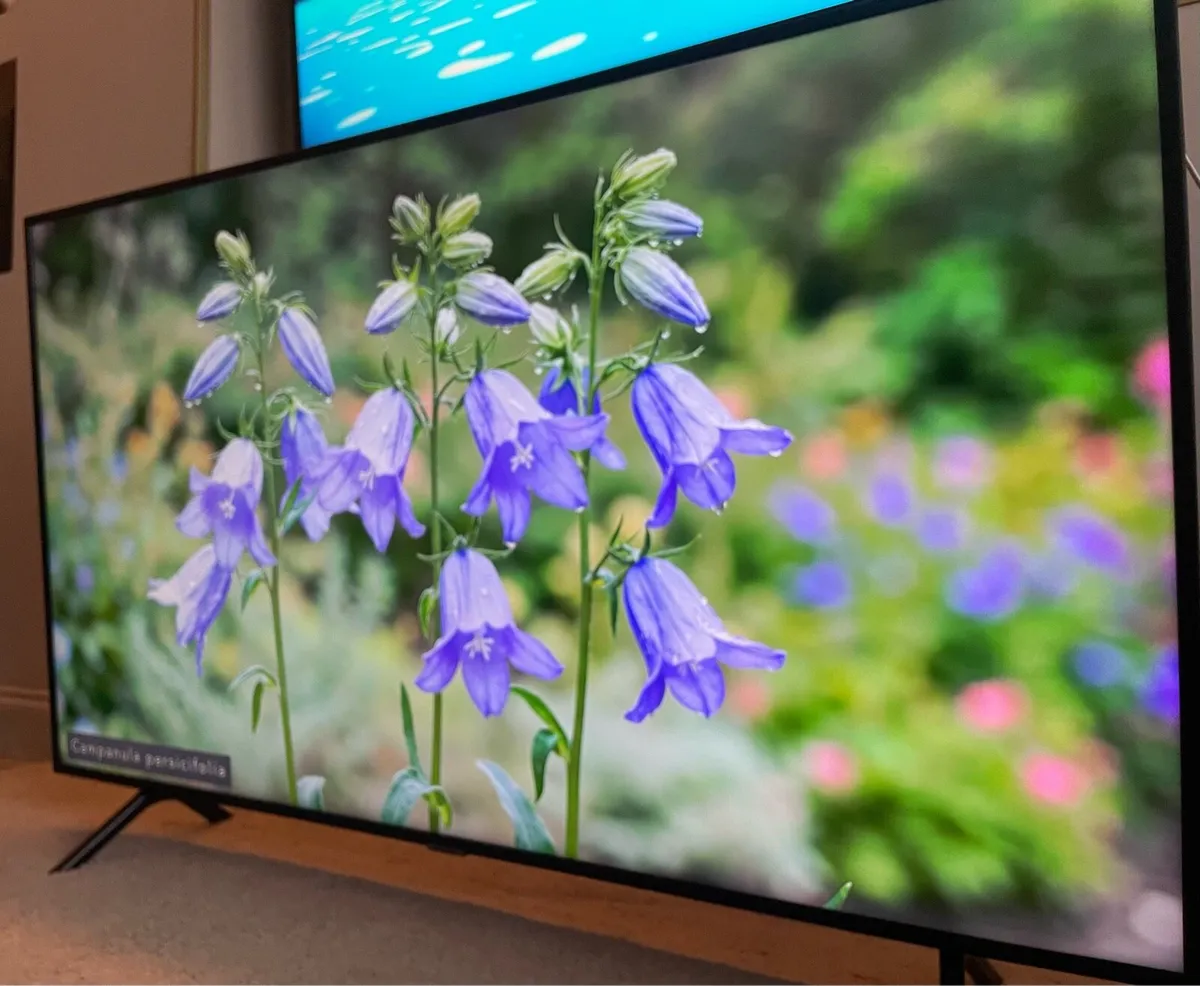 55” SAMSUNG 4k ULTRA HD SMART TV - Image 4