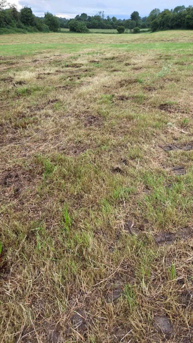 Round bales of hay - Image 4