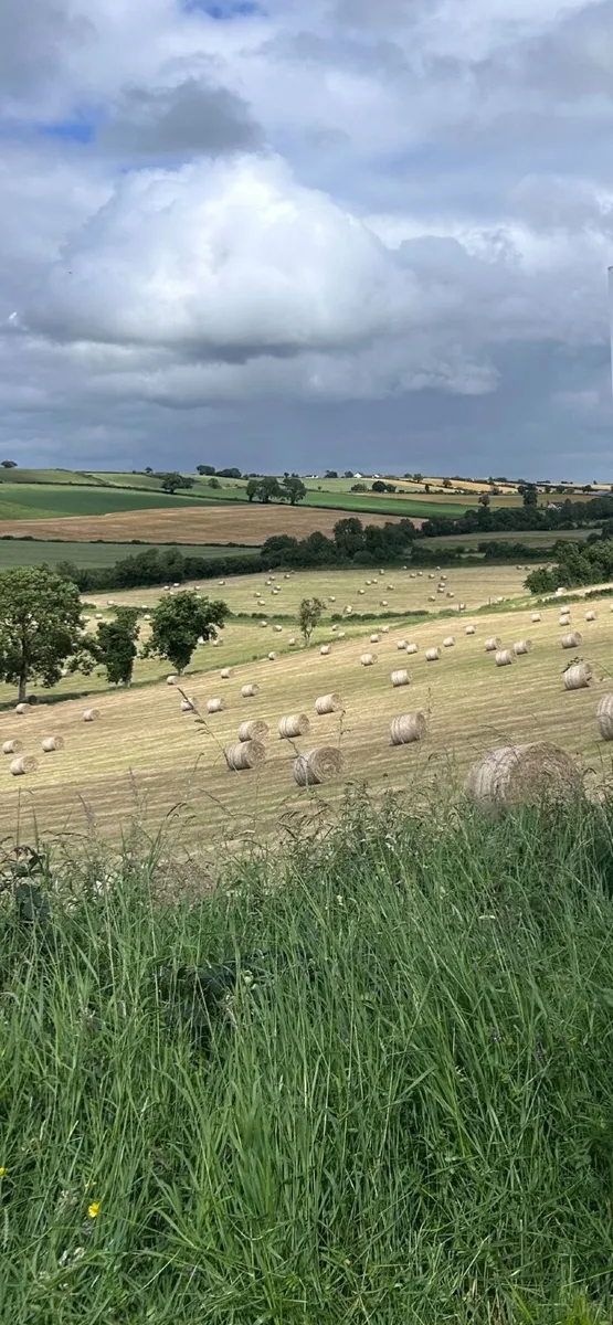 Round Hay bales for sale