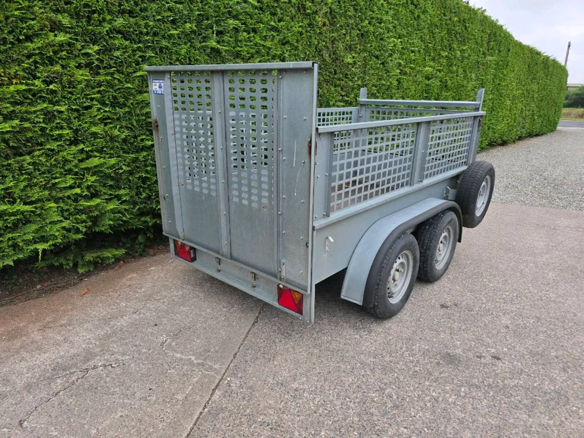 Clean broniss 8x4ft twin axle trailer mesh & ramp - Image 3