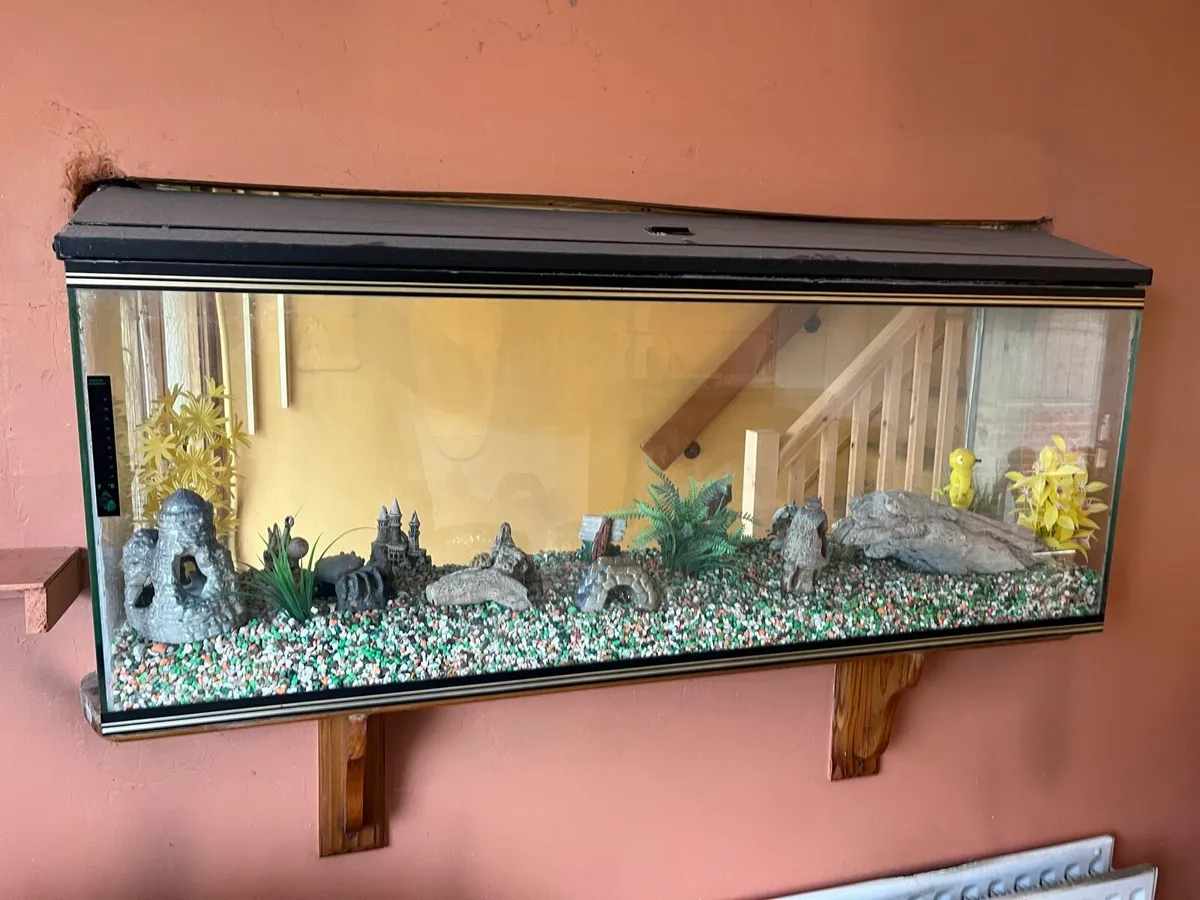 Fish tank - Image 1