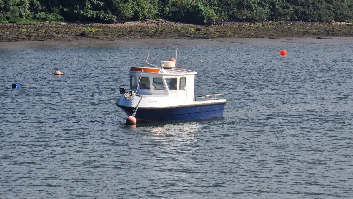Angling boat - Image 1