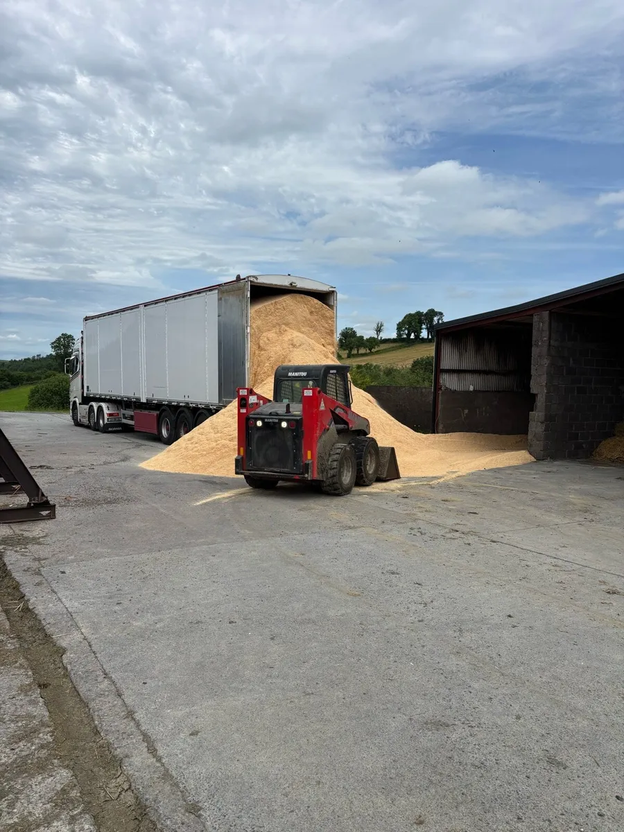 Bulk walking floor loads of sawdust and wood chip - Image 1