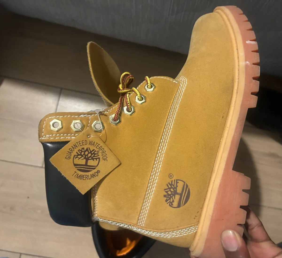 Shoe - Image 1