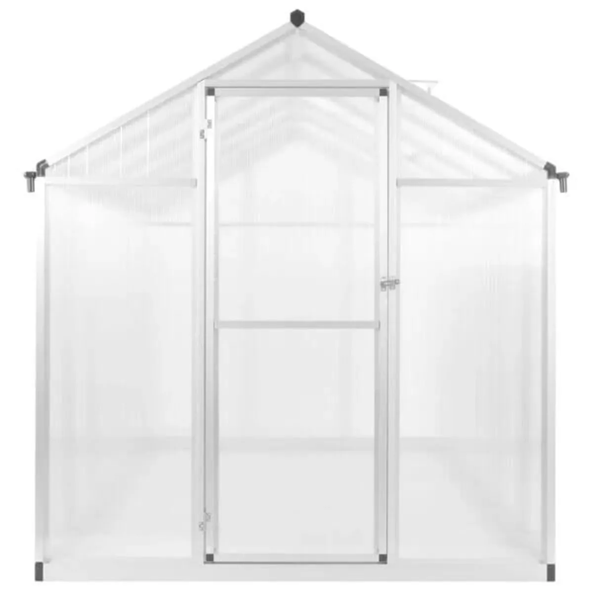 Greenhouse Aluminium 302x190x195 cm 11.19 m³

Spec - Image 2