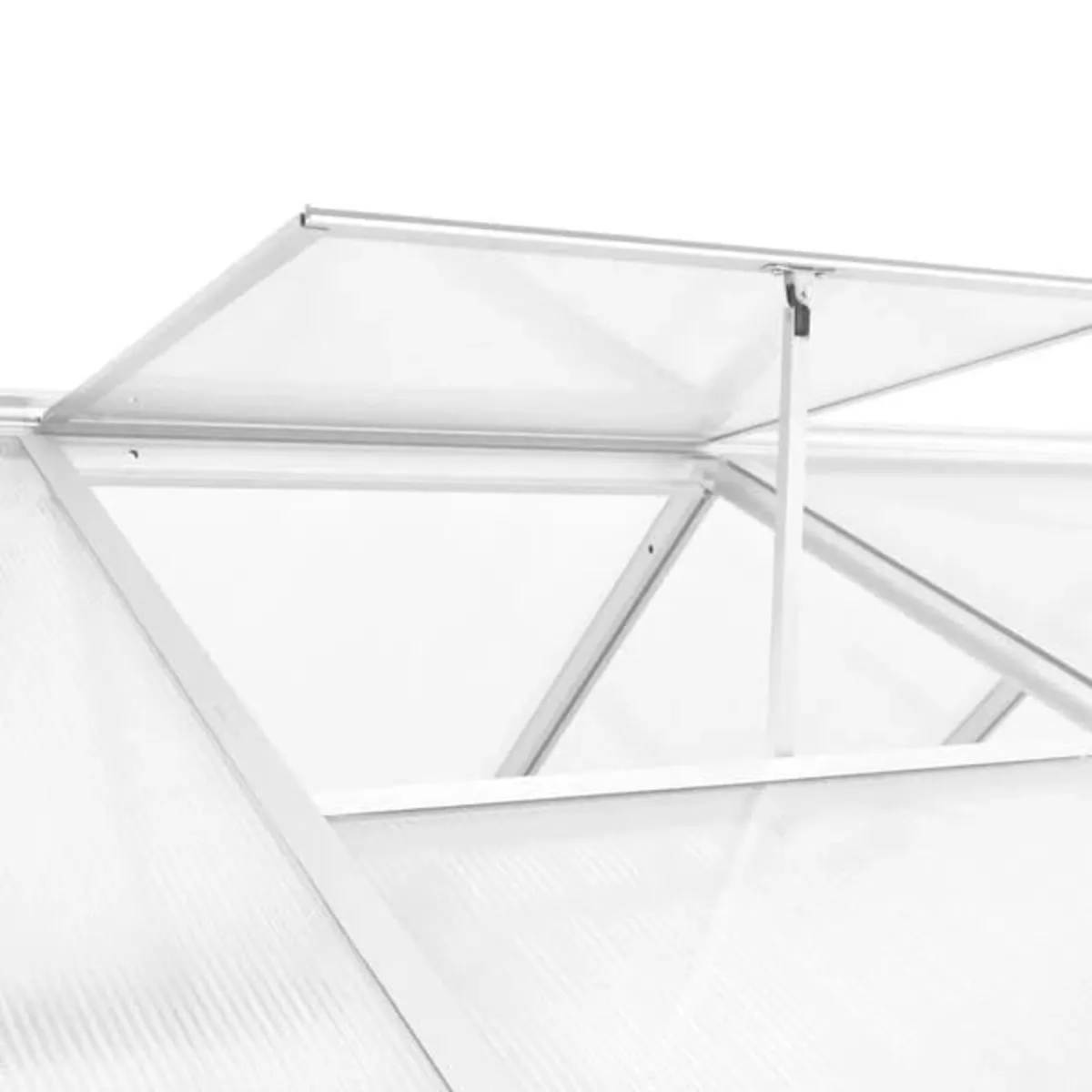 Greenhouse Aluminium 302x190x195 cm 11.19 m³

Spec - Image 4