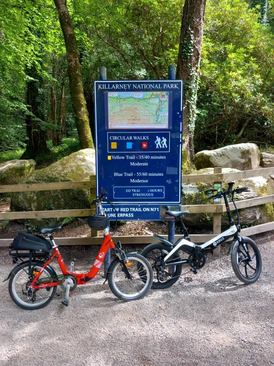 Electric bikes - Image 4