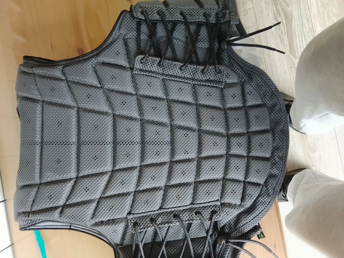 Kids Horse Riding Back Protector (Champion) - Image 2