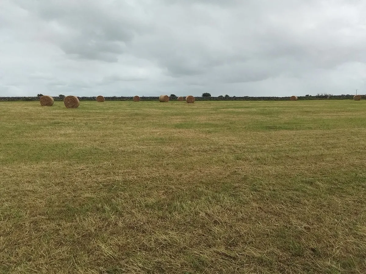 Hay round and square bales - Image 2