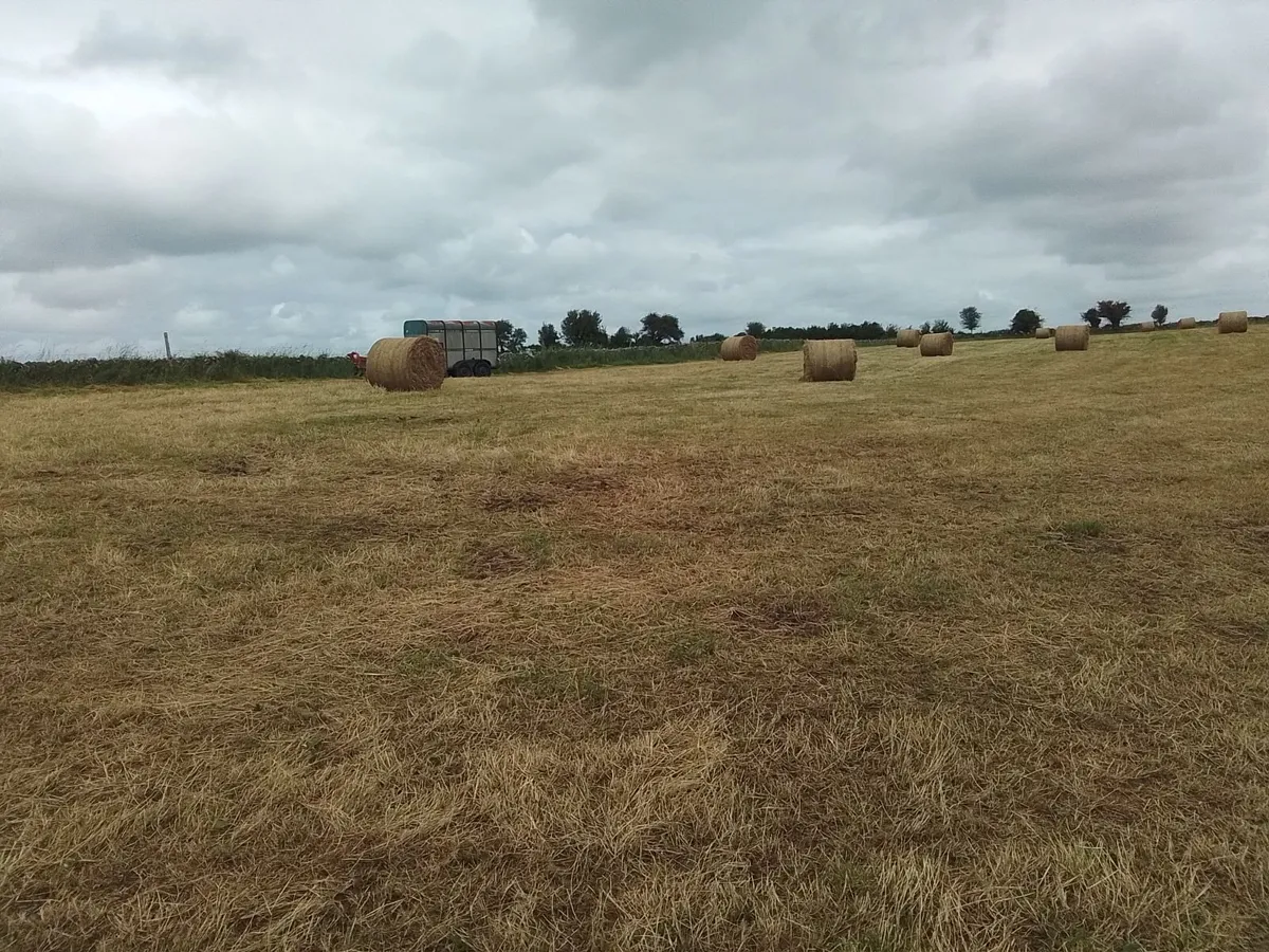 Hay round and square bales - Image 4
